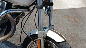 Moto Guzzi Nevada 750 (1992 - 02)  (14)
