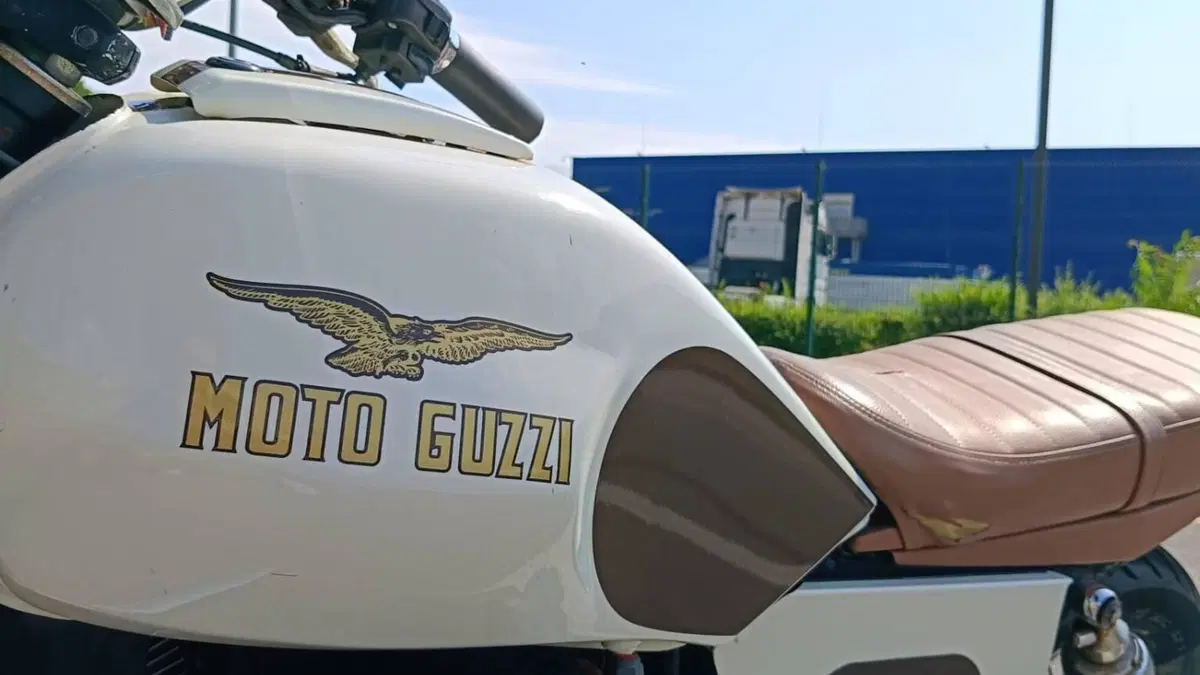 Moto Guzzi Nevada 750 (1992 - 02)  (19)