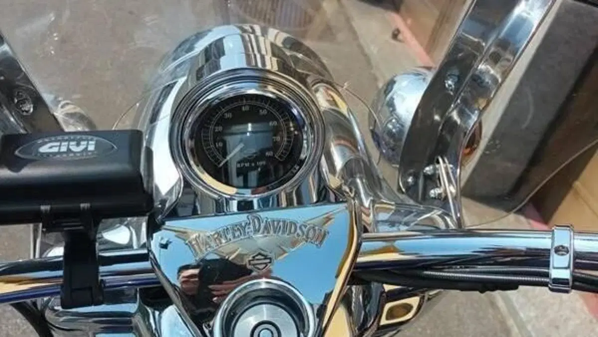 Harley-Davidson 1450 Road King Classic (1999 - 02) - FLHRCI  (7)