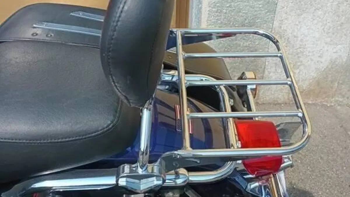 Harley-Davidson 1450 Road King Classic (1999 - 02) - FLHRCI  (8)