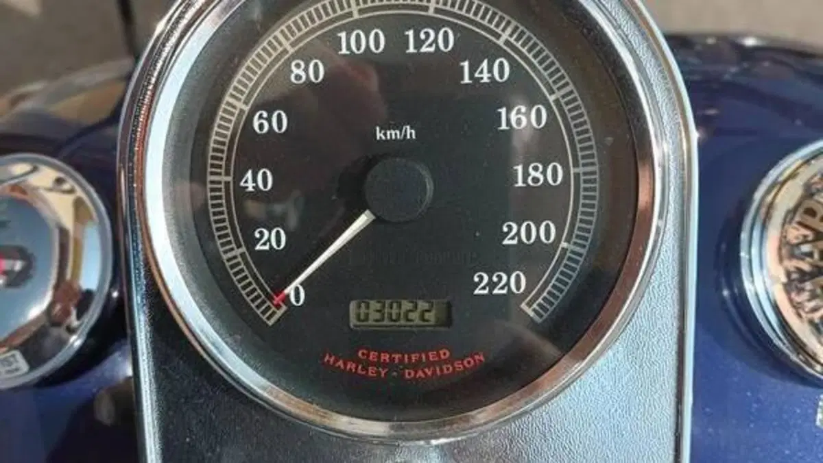 Harley-Davidson 1450 Road King Classic (1999 - 02) - FLHRCI  (20)