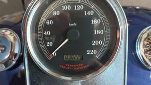 Harley-Davidson 1450 Road King Classic (1999 - 02) - FLHRCI  (20)