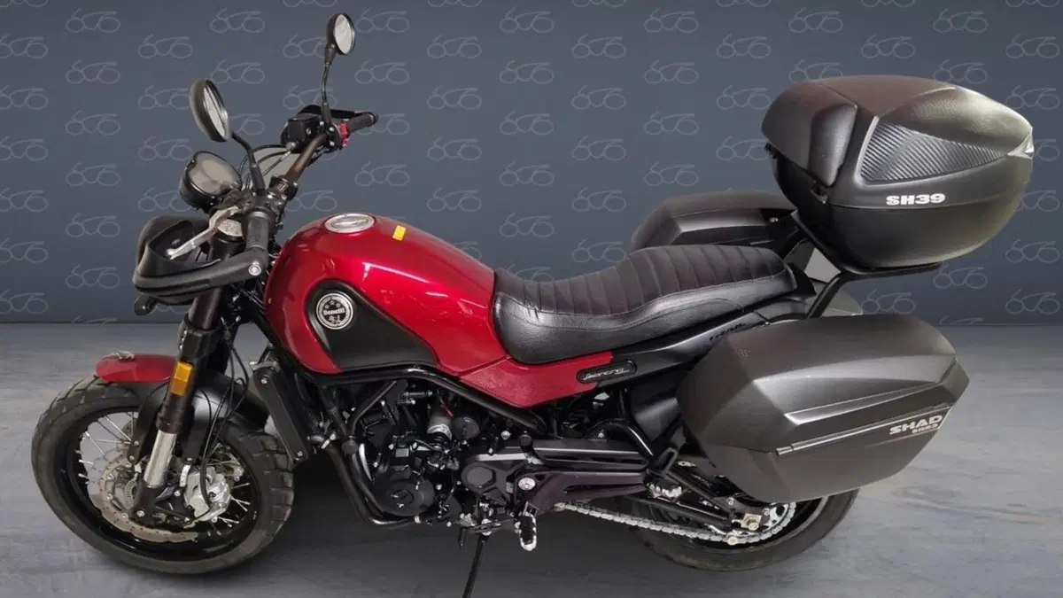 Benelli Leoncino 500 Trail ABS (2017 - 20)  (3)