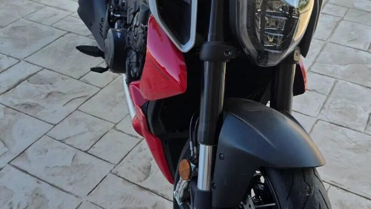 Ducati Diavel V4 (2023 - 26)  (2)