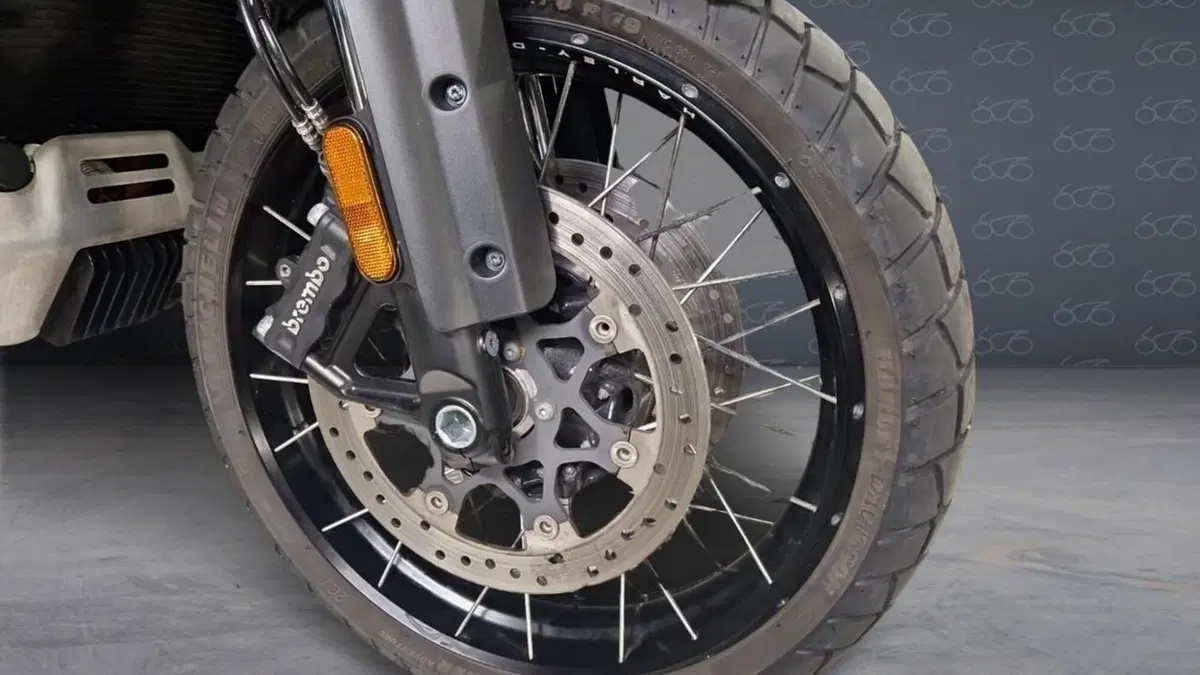 Harley-Davidson Pan America 1250 Special (2020 - 25)  (5)