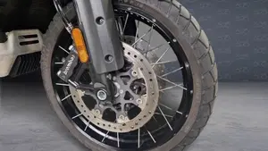 Harley-Davidson Pan America 1250 Special (2020 - 25)  (5)