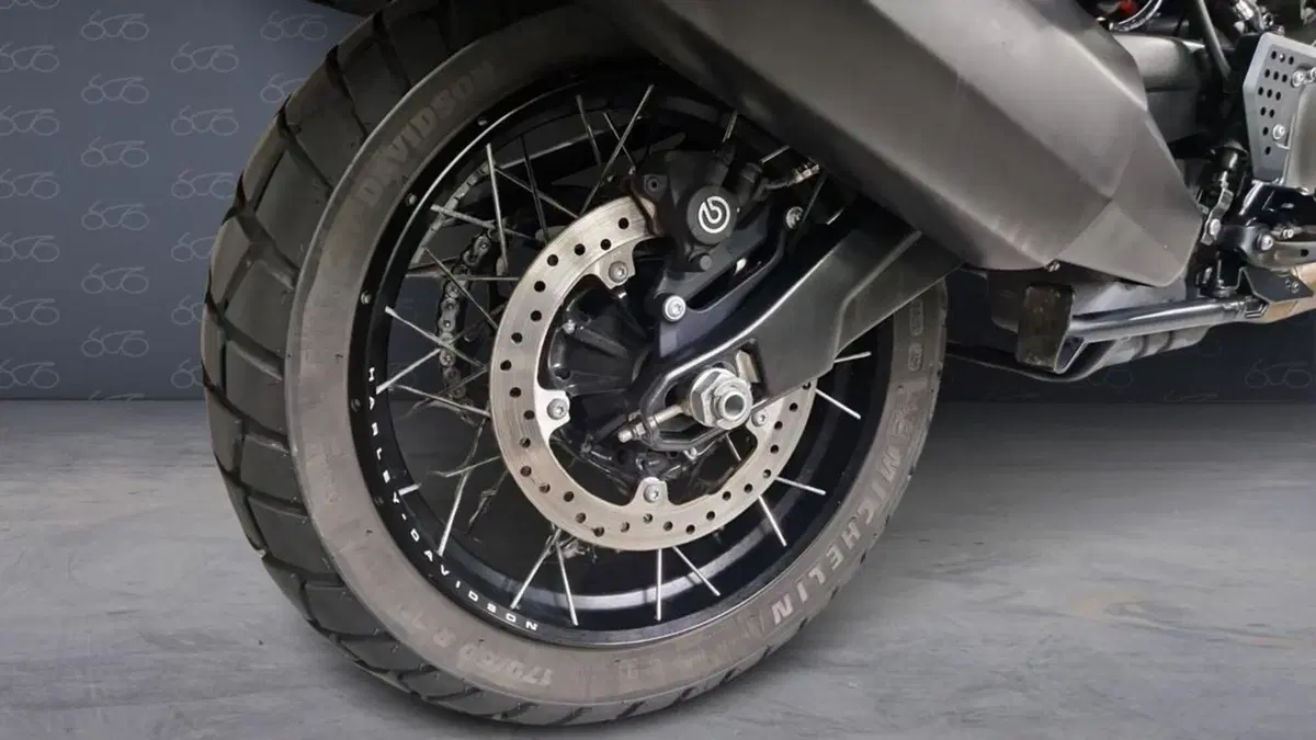 Harley-Davidson Pan America 1250 Special (2020 - 25)  (6)