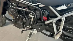 Triumph Tiger 900 GT Pro (2024 - 26)  (7)