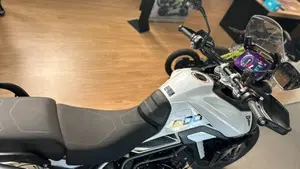 Triumph Tiger 900 GT Pro (2024 - 26)  (9)