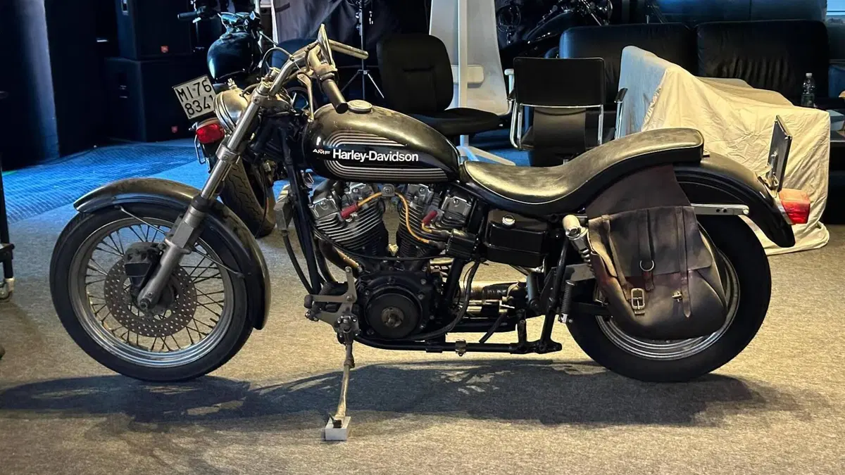 Harley-Davidson   (2)