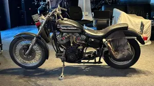 Harley-Davidson   (2)