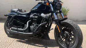 Harley-Davidson 1200 Forty-Eight (2010 - 15) 