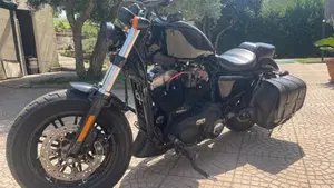 Harley-Davidson 1200 Forty-Eight (2010 - 15)  (2)