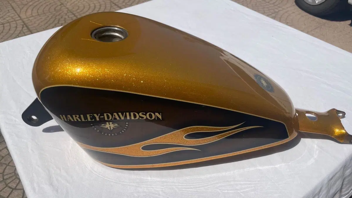 Harley-Davidson 1200 Forty-Eight (2010 - 15)  (6)