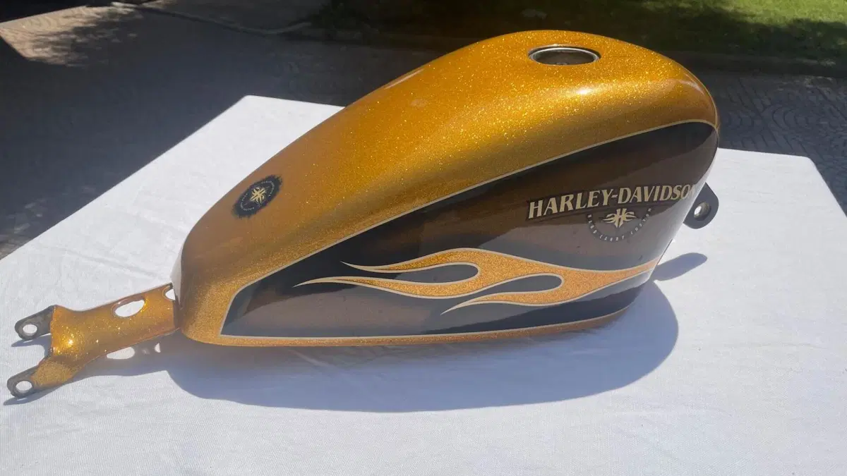 Harley-Davidson 1200 Forty-Eight (2010 - 15)  (7)