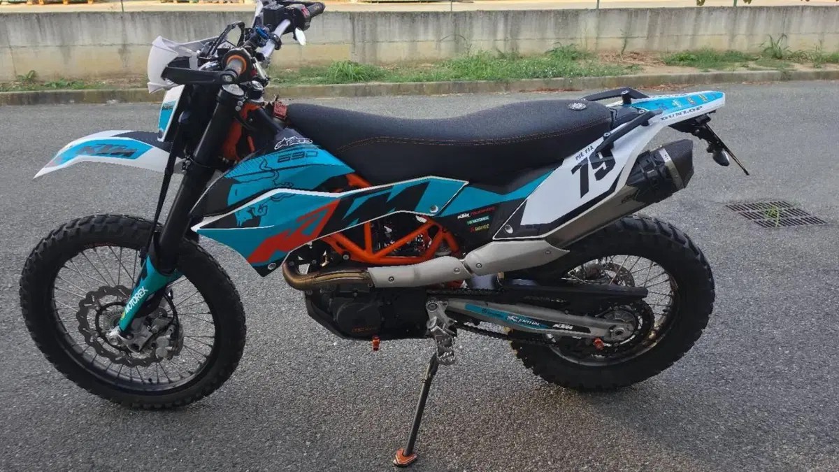 KTM 690 Enduro R (2012 - 17)  (2)