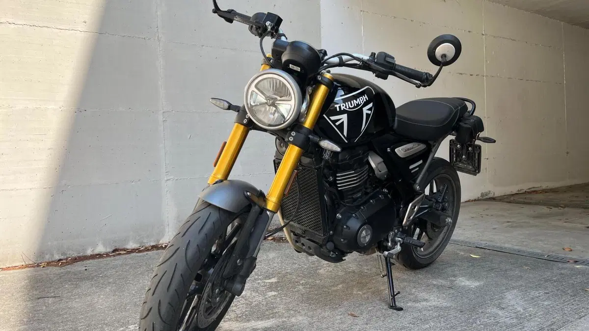 Triumph Speed 400 (2024 - 26)  (8)