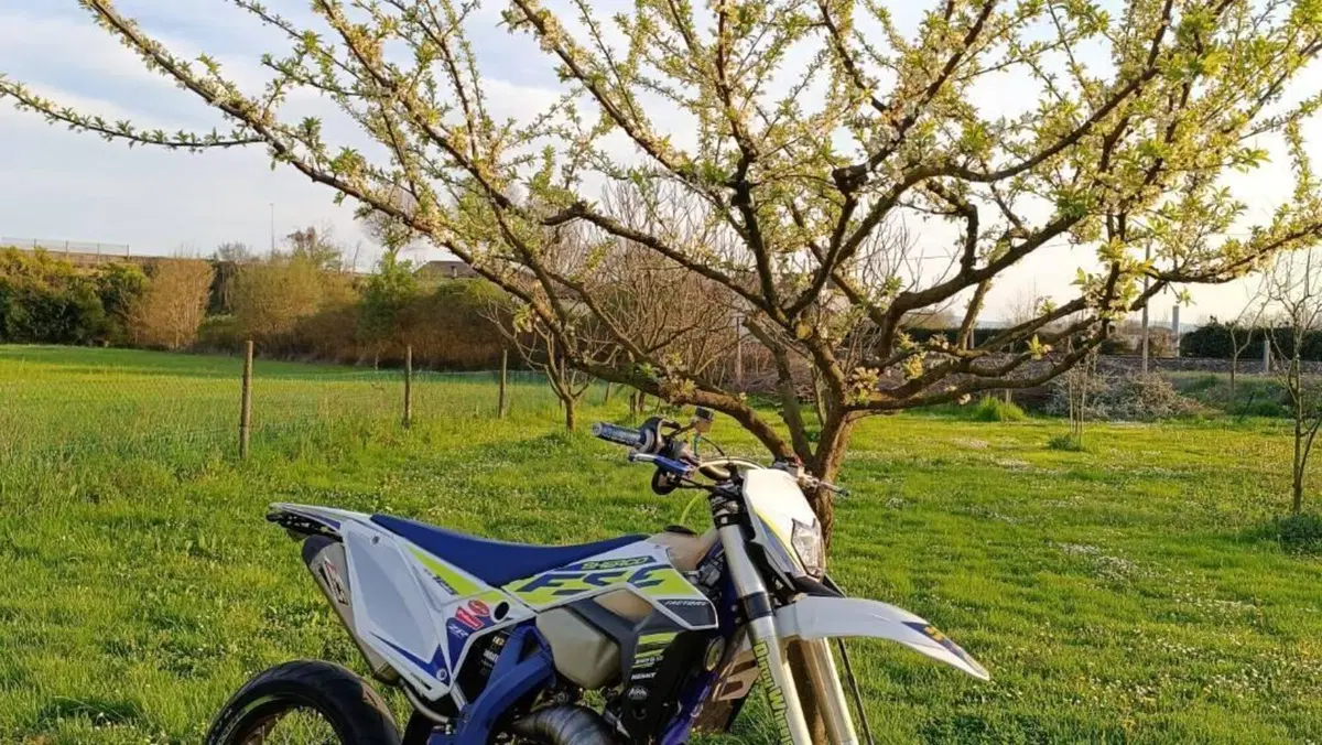 Sherco 125 SE Racing (2020)  (4)