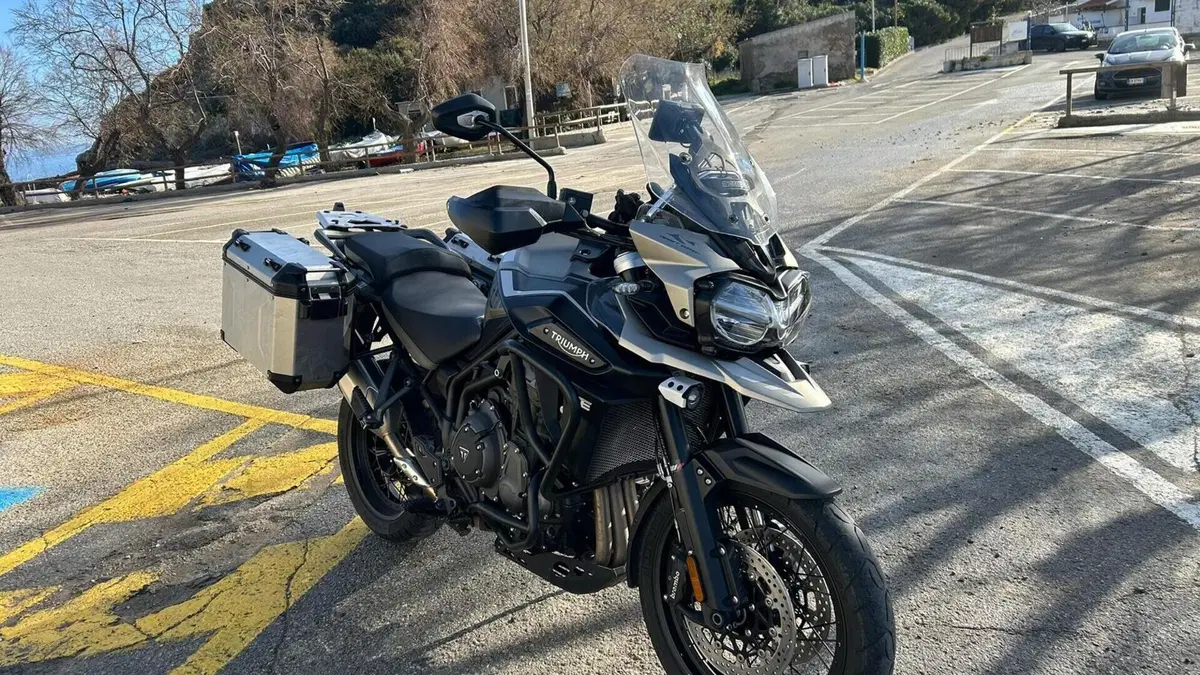 Triumph Tiger 1200 Desert Edition (2020)  (3)