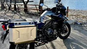 Triumph Tiger 1200 Desert Edition (2020)  (4)