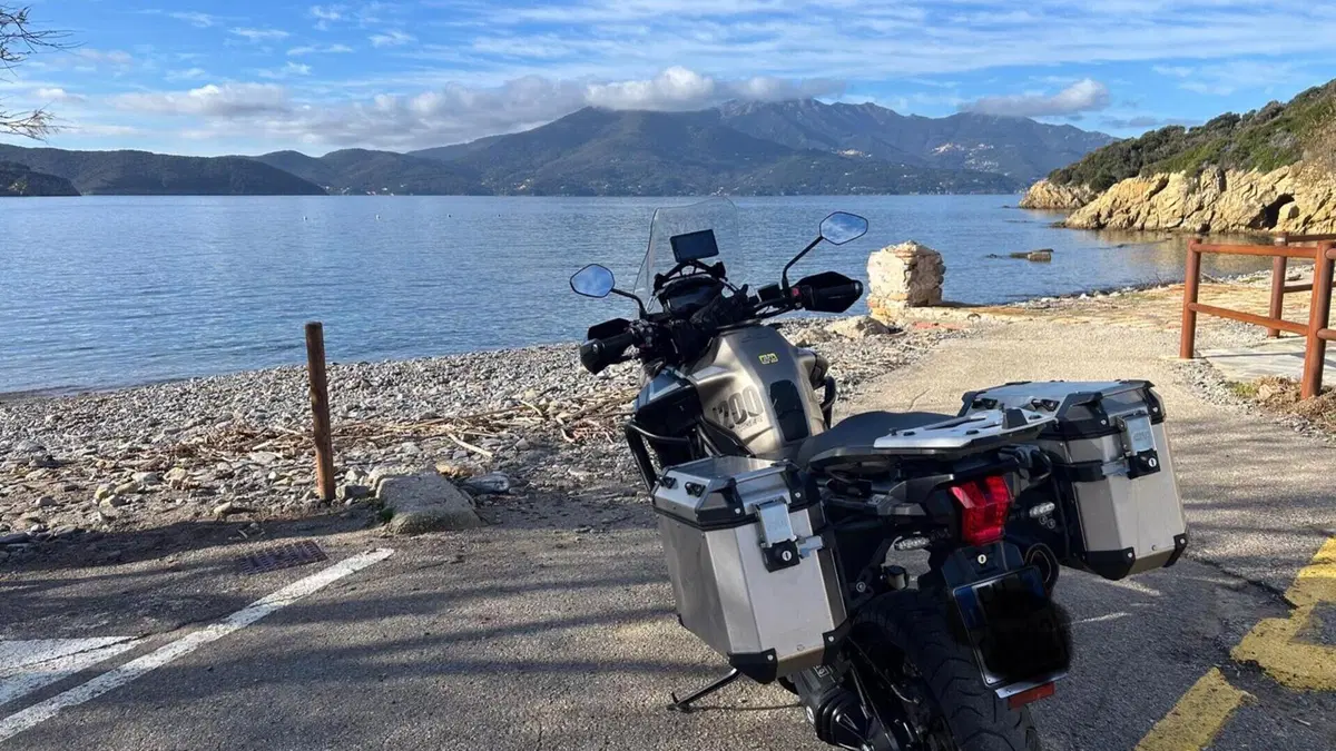 Triumph Tiger 1200 Desert Edition (2020)  (5)