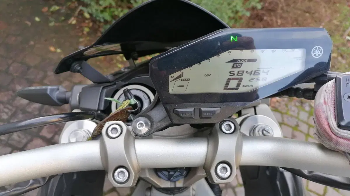 Yamaha MT-09 ABS (2013 - 15)  (2)