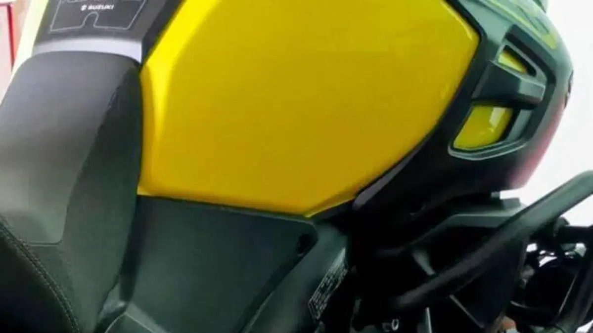 Suzuki V-Strom 1000 (2017 - 20)  (2)