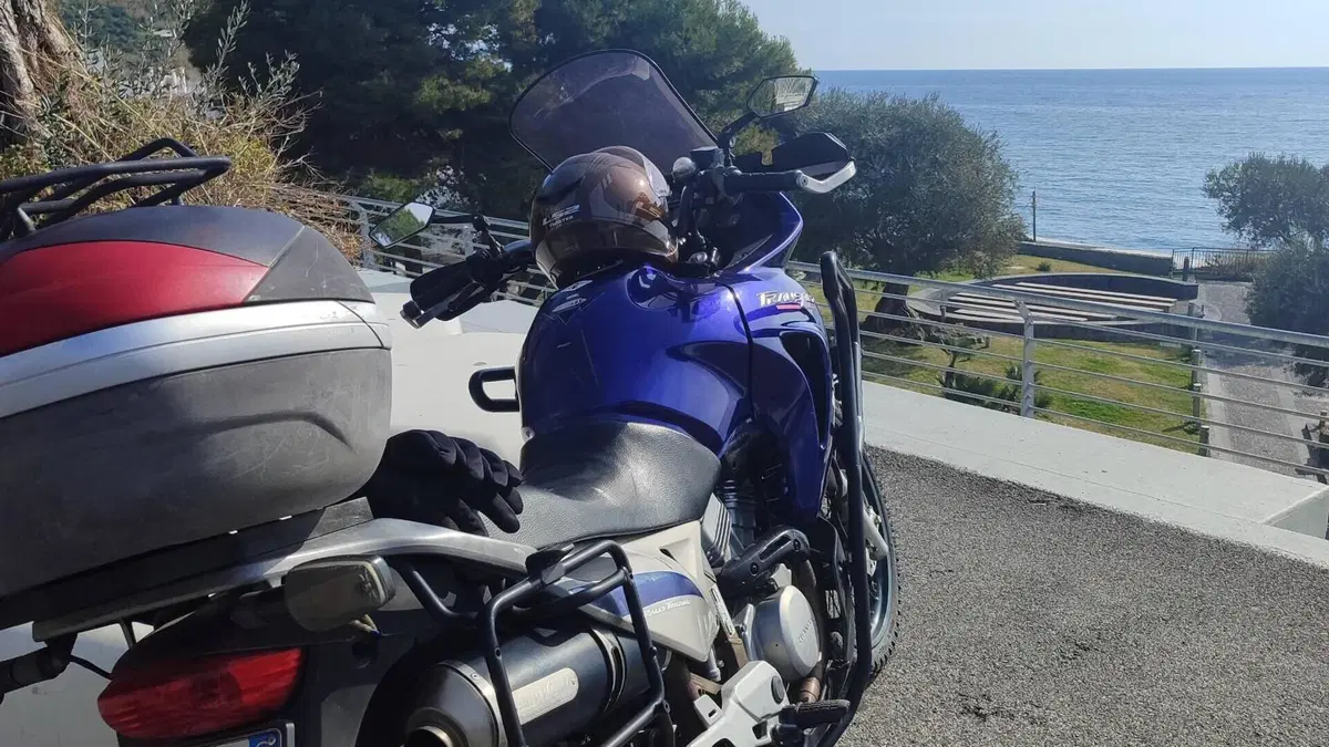 Honda Transalp XL 650V (2005 - 06)  (6)