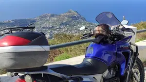 Honda Transalp XL 650V (2005 - 06)  (8)