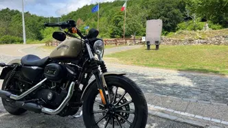 Harley-Davidson 883 Iron (2014 - 16) - XL 883N