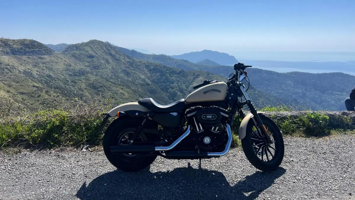 Harley-Davidson 883 Iron (2014 - 16) - XL 883N  (2)