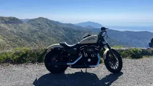 Harley-Davidson 883 Iron (2014 - 16) - XL 883N  (2)