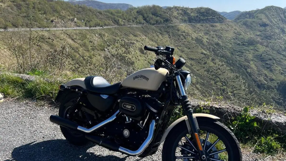 Harley-Davidson 883 Iron (2014 - 16) - XL 883N  (3)