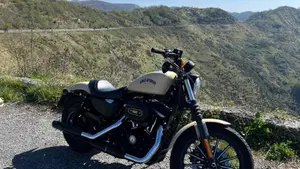 Harley-Davidson 883 Iron (2014 - 16) - XL 883N  (3)
