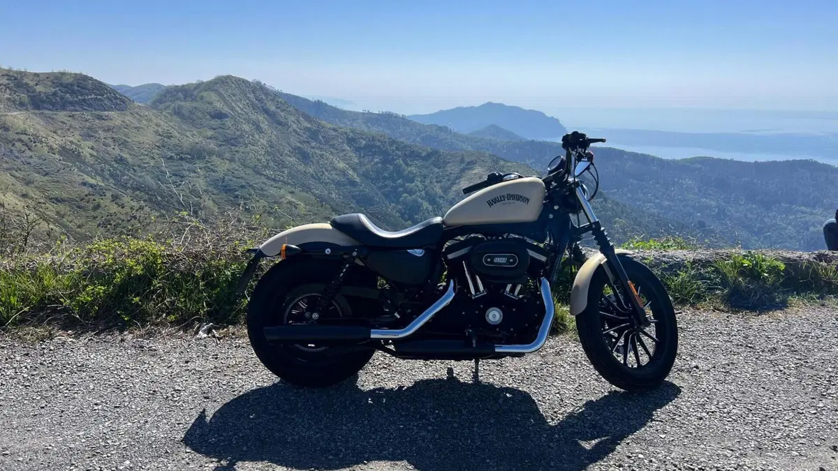 Harley-Davidson 883 Iron (2014 - 16) - XL 883N  (4)