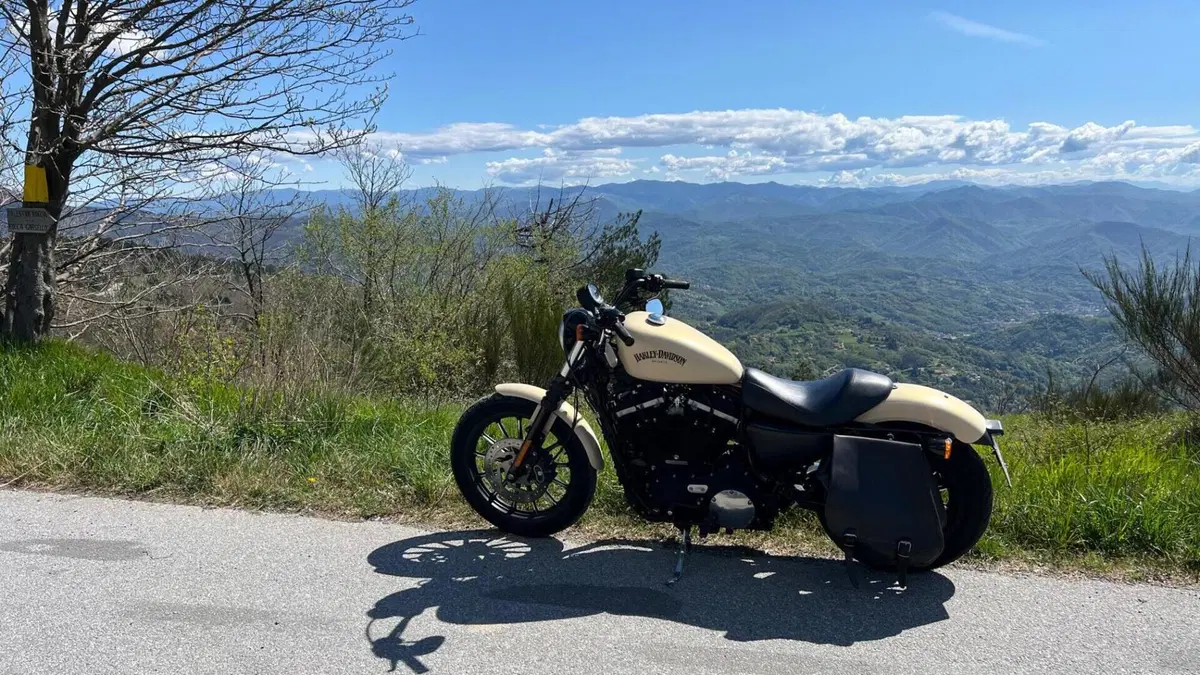 Harley-Davidson 883 Iron (2014 - 16) - XL 883N  (5)