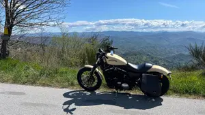 Harley-Davidson 883 Iron (2014 - 16) - XL 883N  (5)