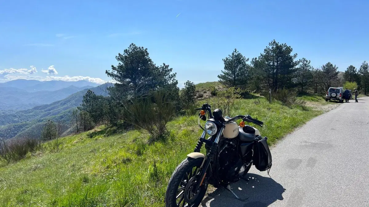 Harley-Davidson 883 Iron (2014 - 16) - XL 883N  (6)