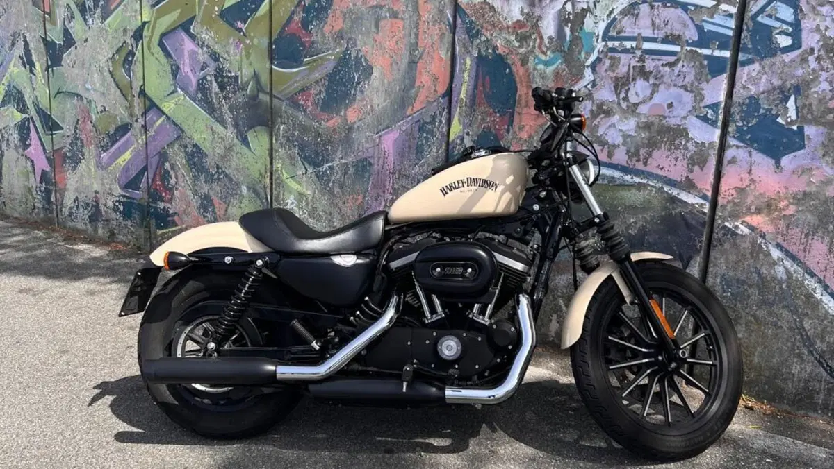 Harley-Davidson 883 Iron (2014 - 16) - XL 883N  (7)