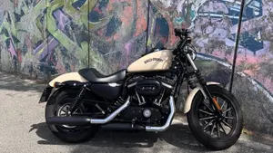 Harley-Davidson 883 Iron (2014 - 16) - XL 883N  (7)