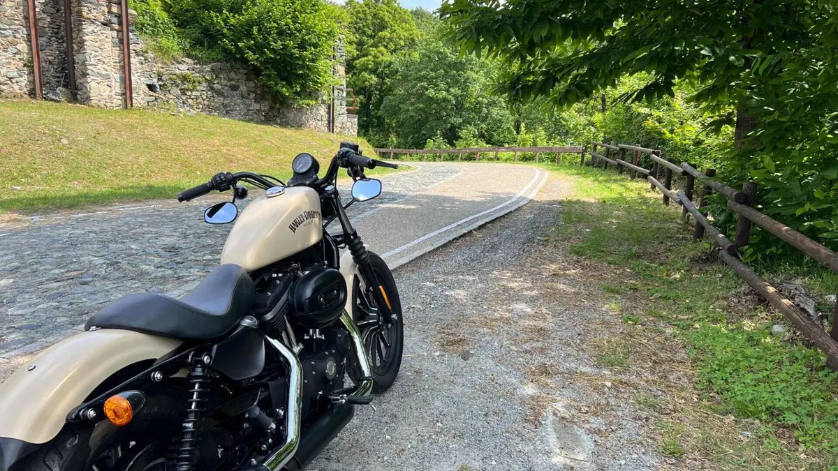 Harley-Davidson 883 Iron (2014 - 16) - XL 883N  (8)