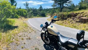 Harley-Davidson 883 Iron (2014 - 16) - XL 883N  (9)