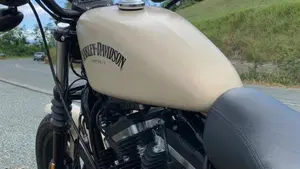 Harley-Davidson 883 Iron (2014 - 16) - XL 883N  (10)