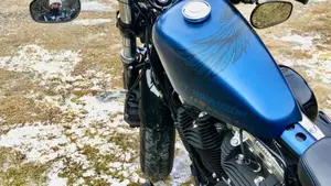 Harley-Davidson 1200 Forty-Eight Special (2018 - 20)  (2)