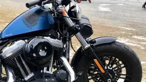 Harley-Davidson 1200 Forty-Eight Special (2018 - 20)  (4)