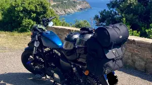 Harley-Davidson 1200 Forty-Eight Special (2018 - 20)  (7)