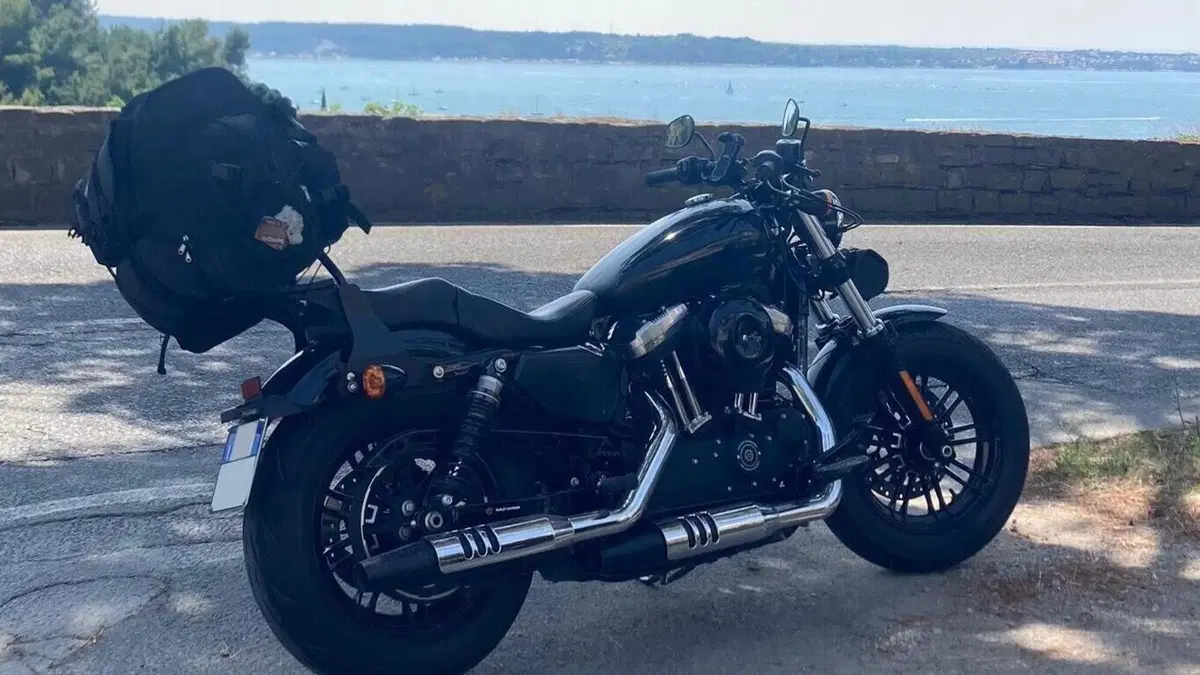 Harley-Davidson 1200 Forty-Eight Special (2018 - 20)  (13)