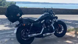 Harley-Davidson 1200 Forty-Eight Special (2018 - 20)  (13)