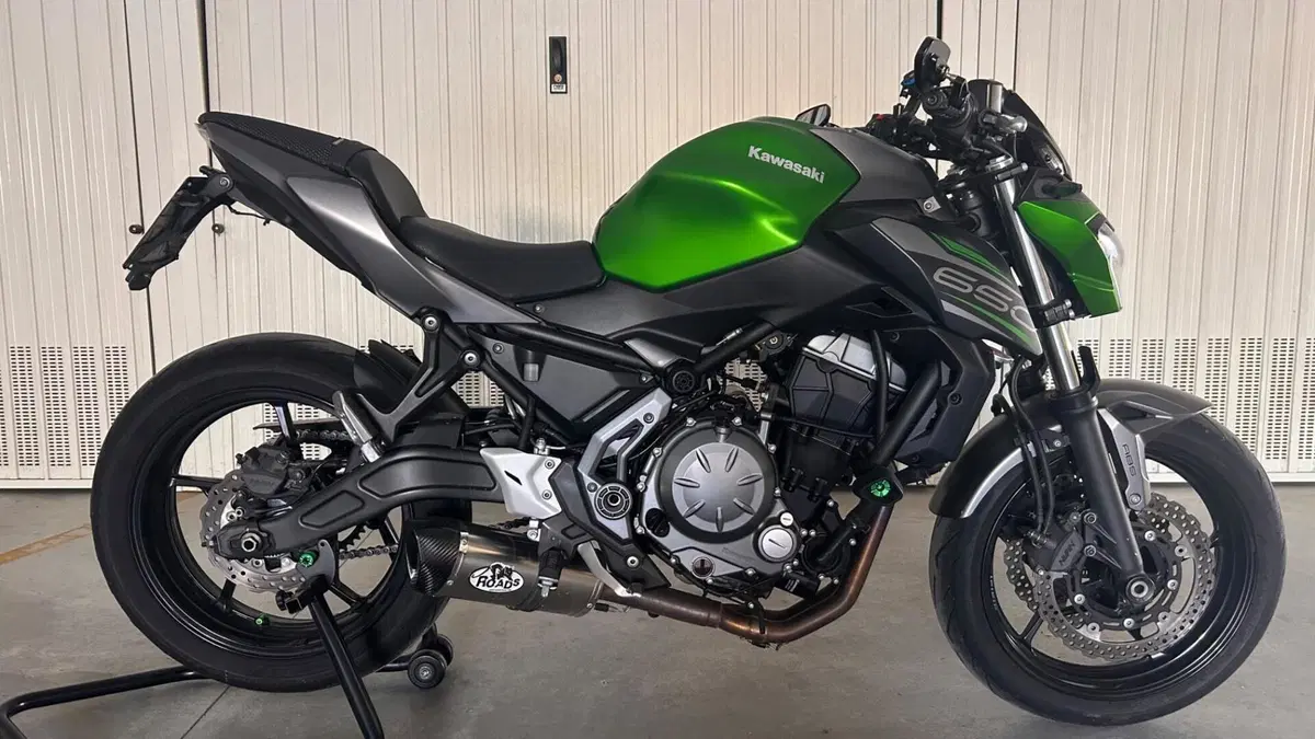 Kawasaki Z 650 (2017 - 19) 