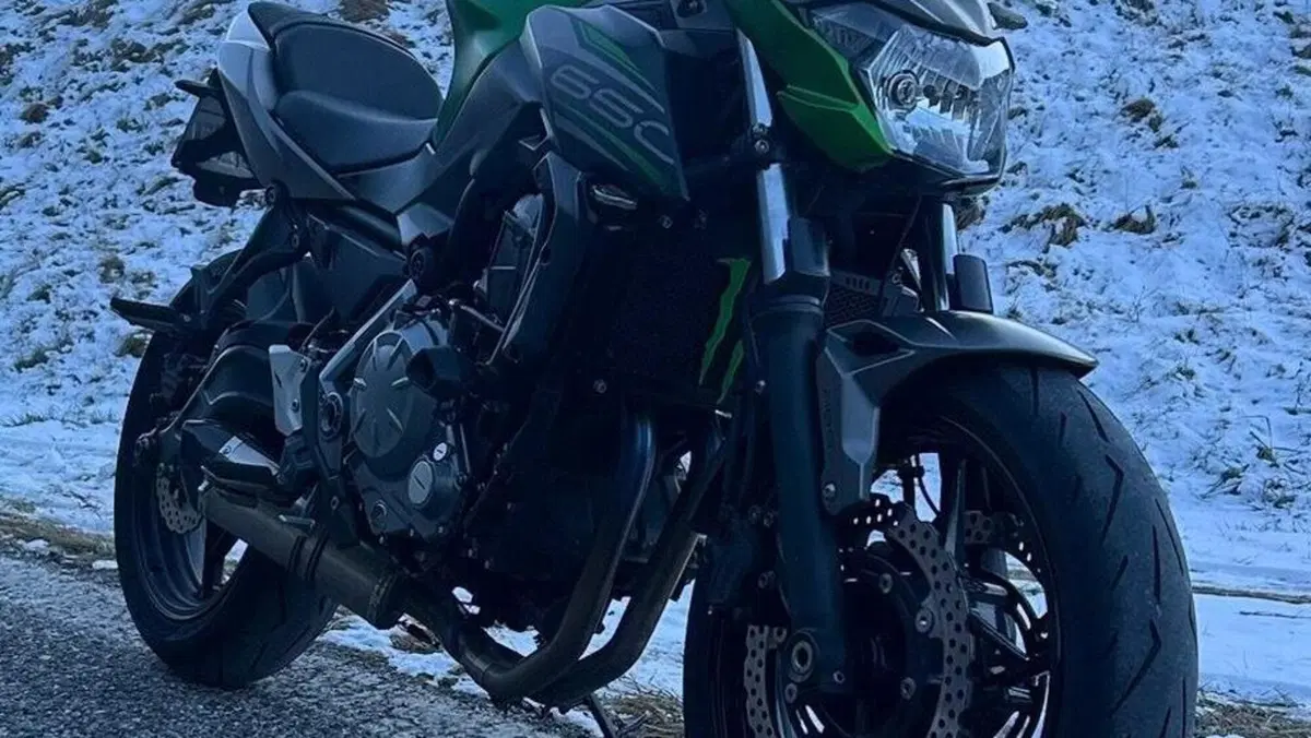 Kawasaki Z 650 (2017 - 19)  (3)